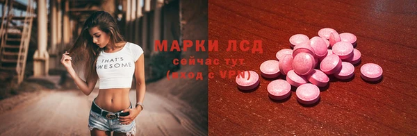 крисы Новодвинск