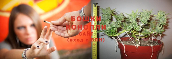 MDMA Новозыбков