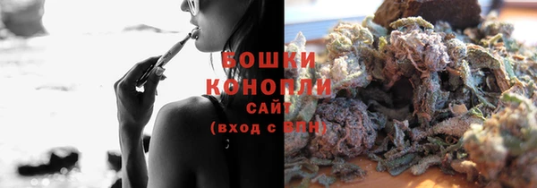 крисы Новодвинск