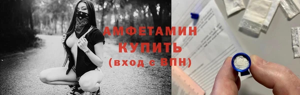 крисы Новодвинск