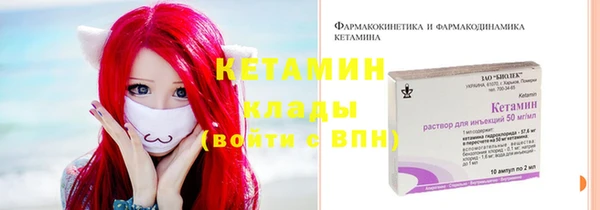 крисы Новодвинск