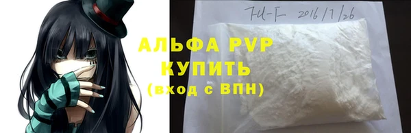 крисы Новодвинск
