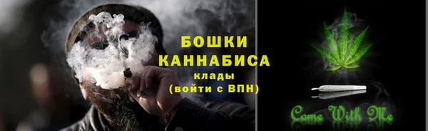 крисы Новодвинск