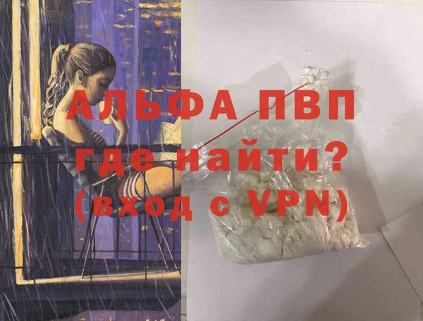 крисы Новодвинск