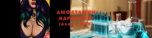 крисы Новодвинск