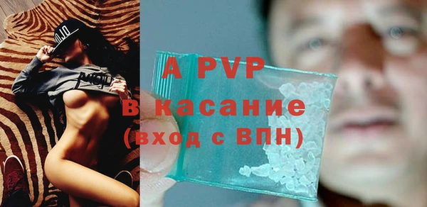 крисы Новодвинск