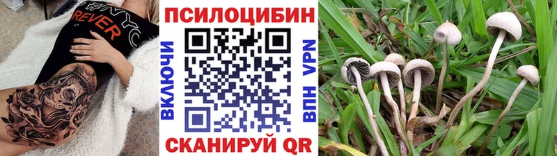 Купить где  Набережные Челны  Галлюциногенные грибы мухоморы 